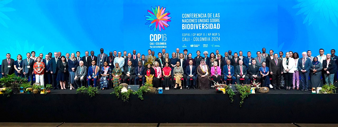 La COP 16 en Colombia puso la protección de la biodiversidad como bandera planetaria