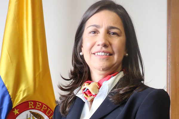 Consejera ponente: MARÍA ADRIANA MARÍN